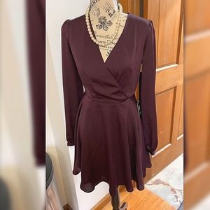 Express Burgundy Plum Deep V Long Sleep Skater Mini Dress size XS